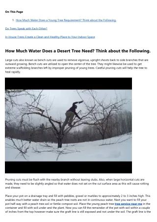 14 Savvy Ways to Spend Leftover tree removal Budget