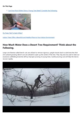 Are You Getting the Most Out of Your tree service?