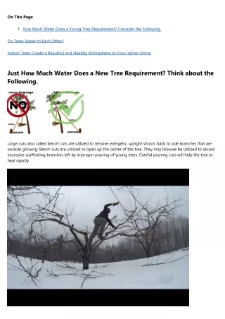 Think You're Cut Out for Doing tree removal? Take This Quiz
