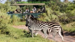 botswana heavenly nature tour