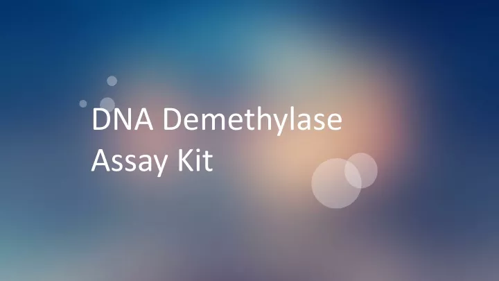 dna demethylase assay kit