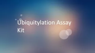 ubiquitylation assay kit