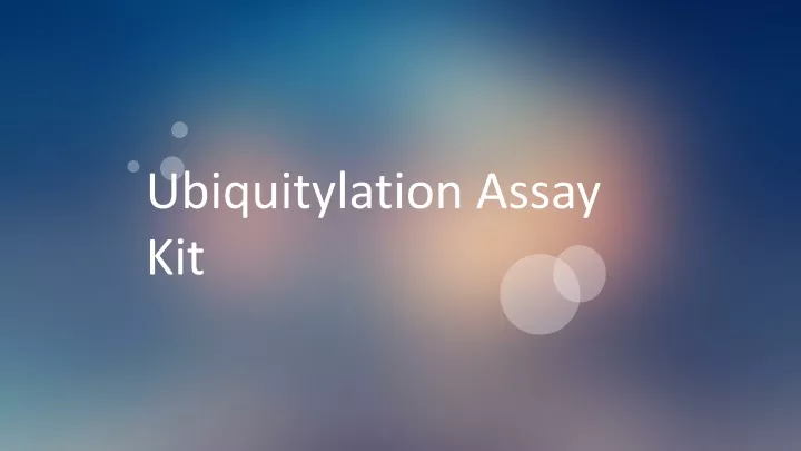 ubiquitylation assay kit