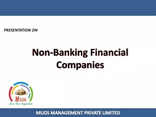 Non-Banking Financial Company - Muds Management