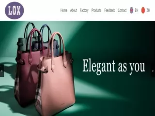 Suit Clothes Covers Bag