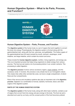 human digestive system what is its parts process