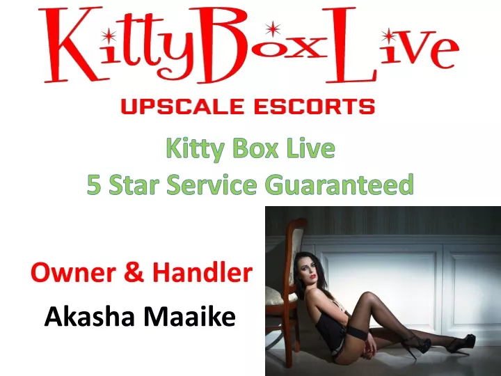kitty box live 5 star service guaranteed