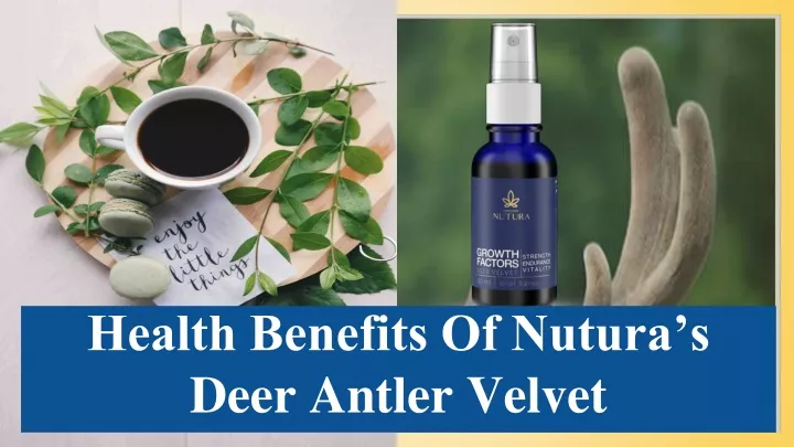 health benefits of nutura s deer antler velvet