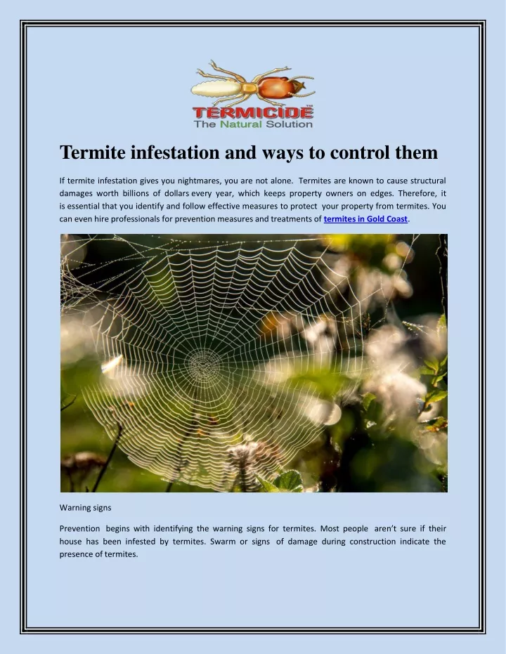 termite infestation and ways to control them