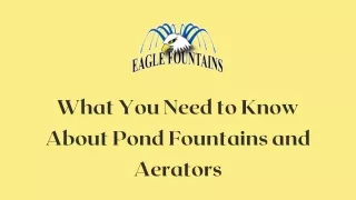 what you need to know