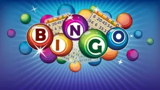 Online Bingo Bonus – How to Choose the Best Bingo Sites
