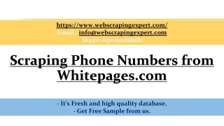 https www webscrapingexpert com email