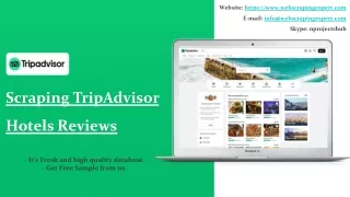 website https www webscrapingexpert com e mail