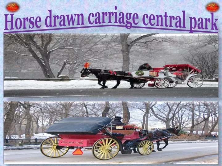 horse drawn carriage central park