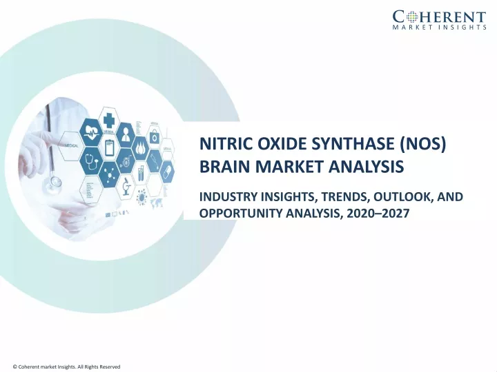 nitric oxide synthase nos brain market analysis