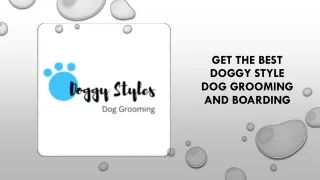 Get the Best Doggy Style Dog Grooming and Boarding