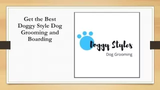 Get the Best Doggy Style Dog Grooming and Boarding