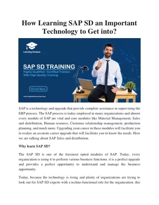 How Learning SAP SD an Important Technology to Get into?