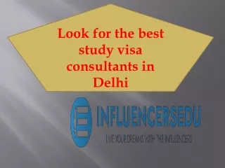 Look for the best study visa consultants in Delhi