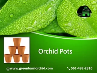 Different models of Orchid Pots are available at Green Barn Orchid online Store