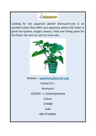 Aquarium Plants for Sale  Bunnycart.com