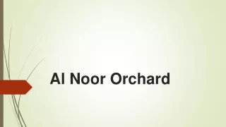 Al Noor Orchard lahore