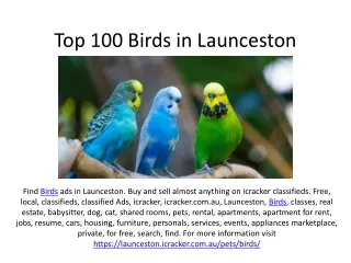 Top 100 Birds in Launceston