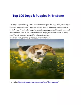 top 100 dogs puppies in brisbane