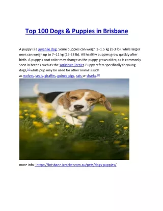 top 100 dogs puppies in brisbane