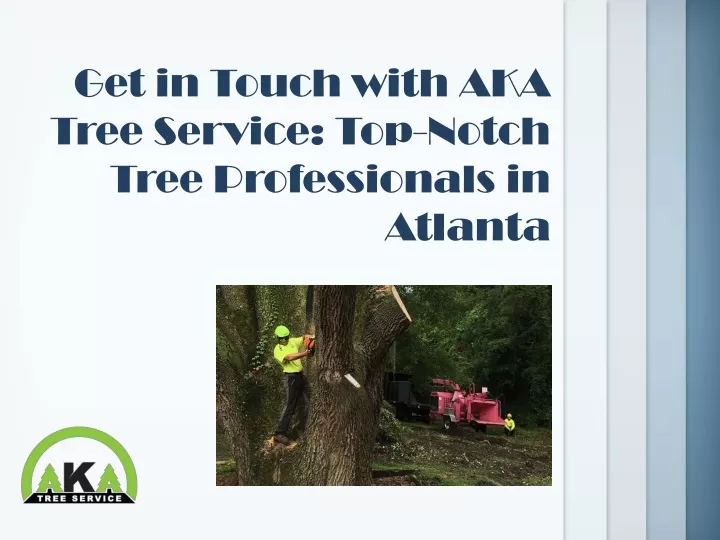 get in touch with aka tree service top notch tree professionals in atlanta