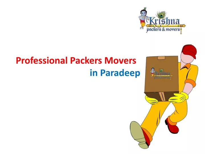 professional packers movers