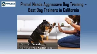 Primal Needs Aggressive Dog Training – Best Dog Trainers in California