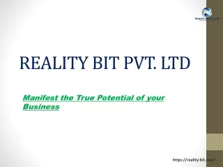 REALITY BIT - Digital Marketing Company in Pune
