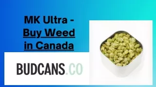MK Ultra - Buy Weed in Canada