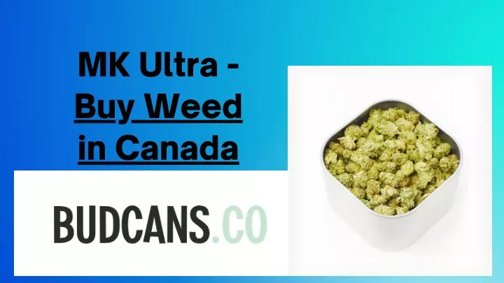 mk ultra buy weed in canada