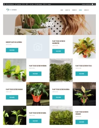 Best Tissue Culture Plants vendor in USA
