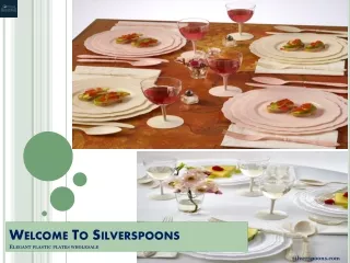 Elegant plastic plates wholesale