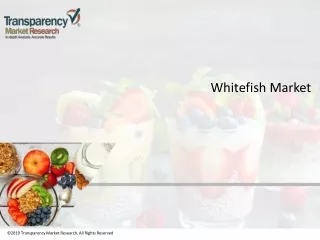 2019 transparency market research all rights