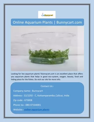 Online Aquarium Plants | Bunnycart.com