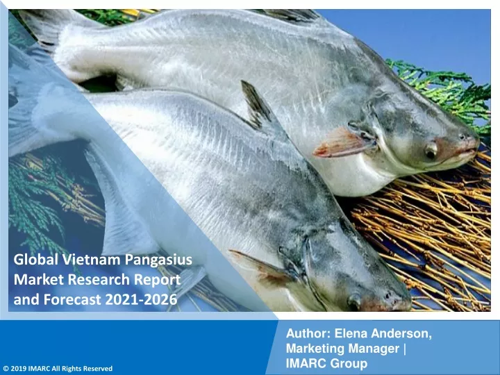 global vietnam pangasius market research report