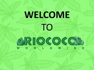 welcome to