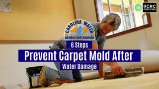 6 Steps to Prevent Carpet Mold After Water Damage