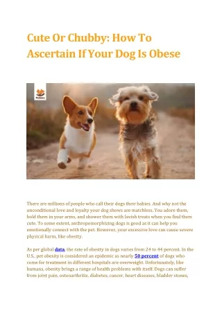 How To Ascertain If Your Dog Is Obese - PetSuta