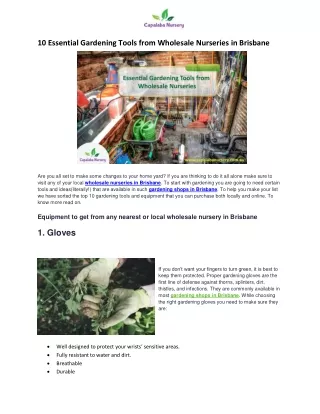10 Essential Gardening Tools from Wholesale Nurseries in Brisbane