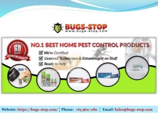 Flies_Control_Products_Singapore_By_Bugs-Stop