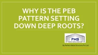 why is the peb pattern setting down deep roots