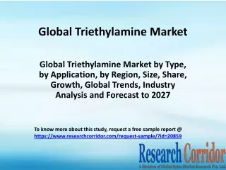 global triethylamine market
