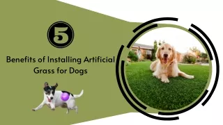 5 Benefits of Installing Artificial Grass for Dogs