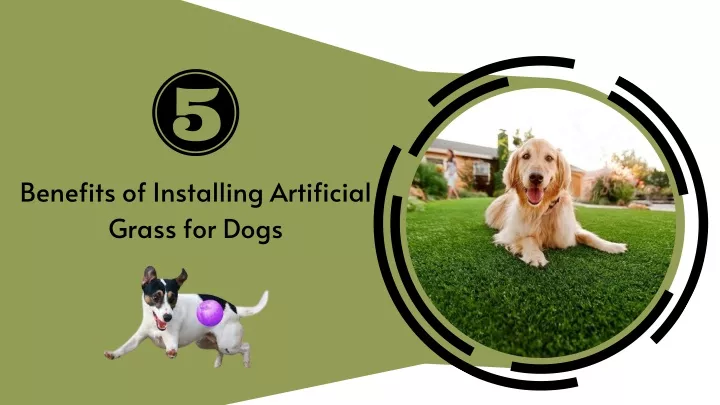 benefits of installing artificial grass for dogs