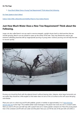 Why You're Failing at tree service